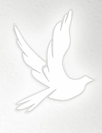 Jane Doe Obituary